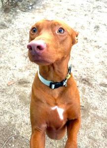 638327860_1314216137408131_8868016676697021220_n